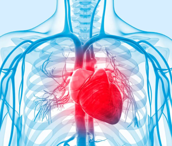 Electrophysiology